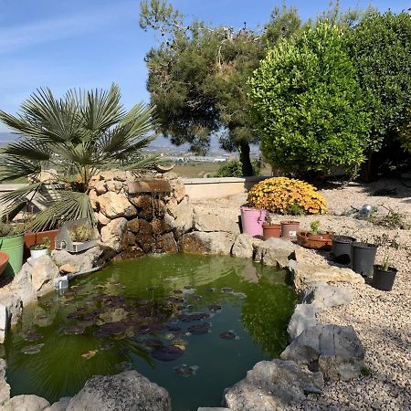 Apartamento Entero Con Vistas Panoramicas Avinyonet del Penedes Экстерьер фото